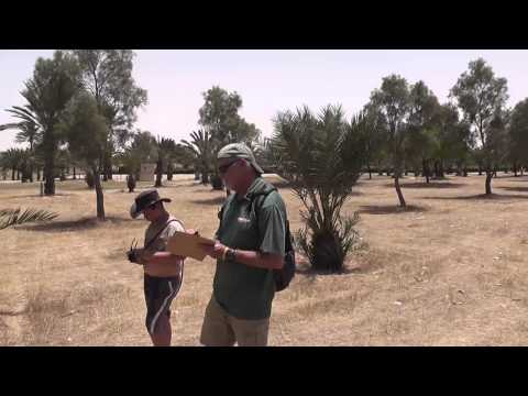 Disc Golf course Park Eshkol Israel - Hole 18